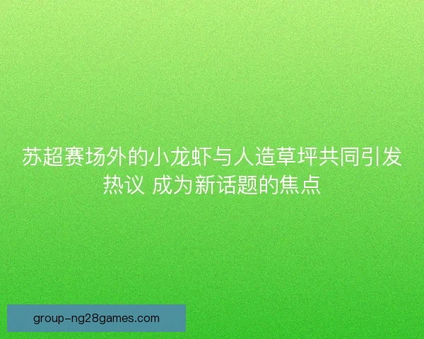 苏超赛场外的小龙虾与人造草坪共同引发热议 成为新话题的焦点